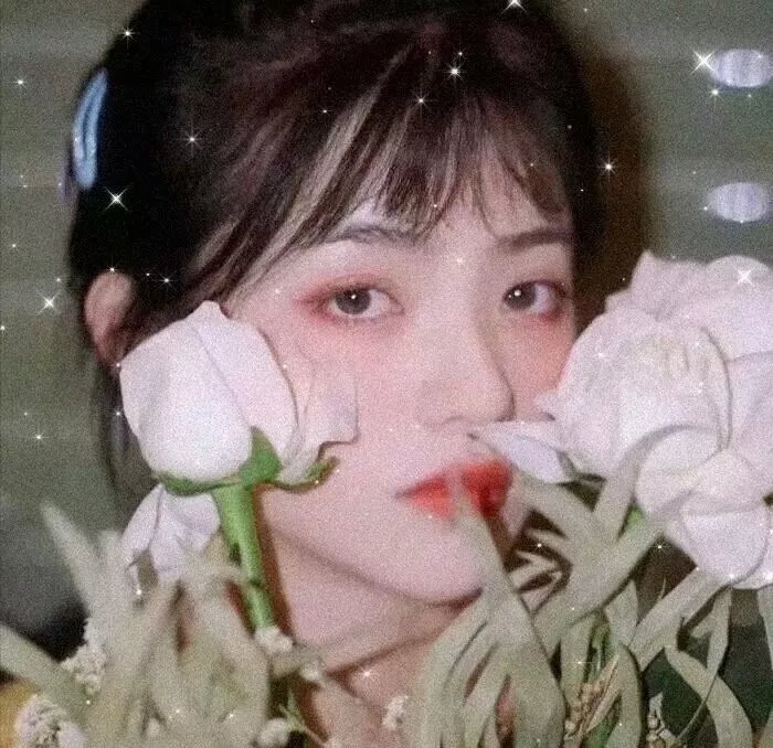 剧照1
